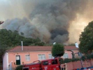 FUEGO CAMPO 06  RECICLAJE